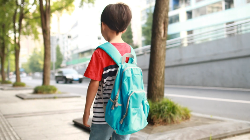 Sistema identificando ausência de aluno